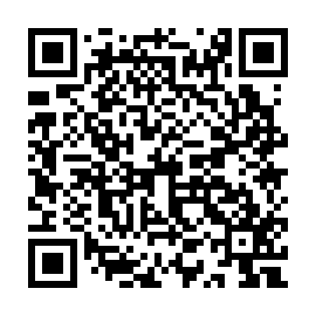QR code for IQQ317