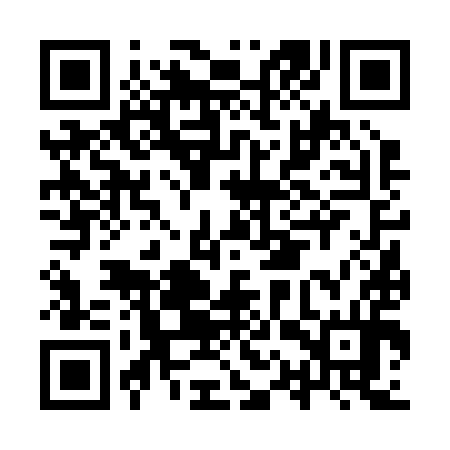 QR code for IQV294