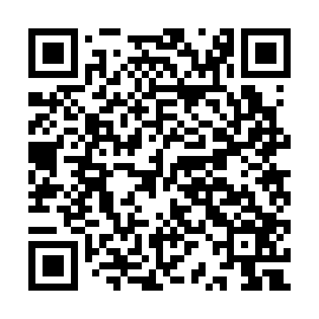 QR code for IRB306