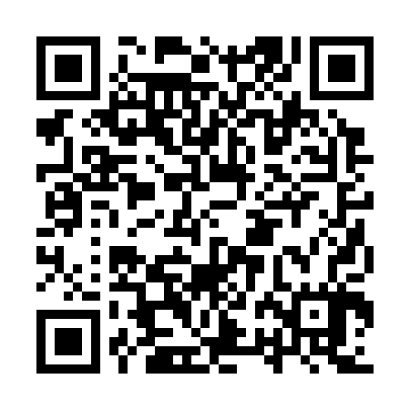 QR code for IRB307