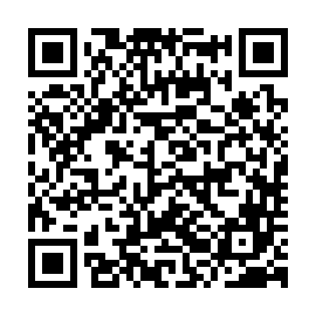 QR code for IRB346