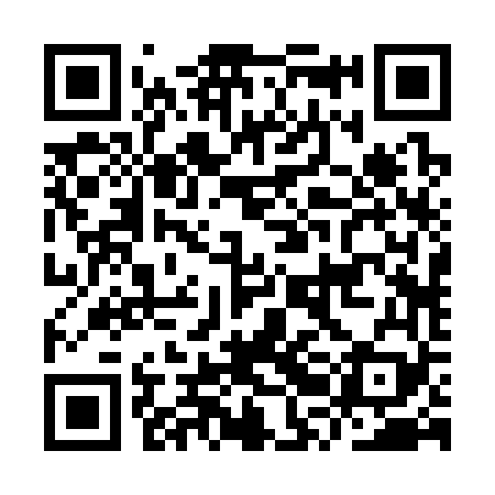 QR code for IRB369