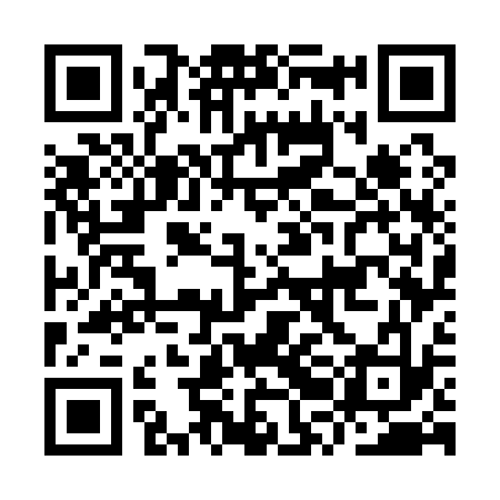 QR code for IRG133