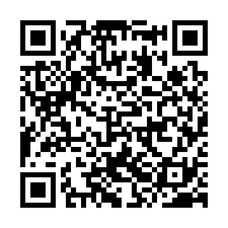 QR code for IRG331