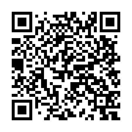 QR code for IRG533