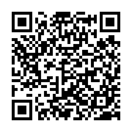 QR code for IRG687