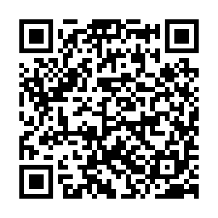 QR code for IRI295