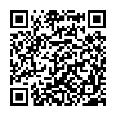 QR code for IRI296