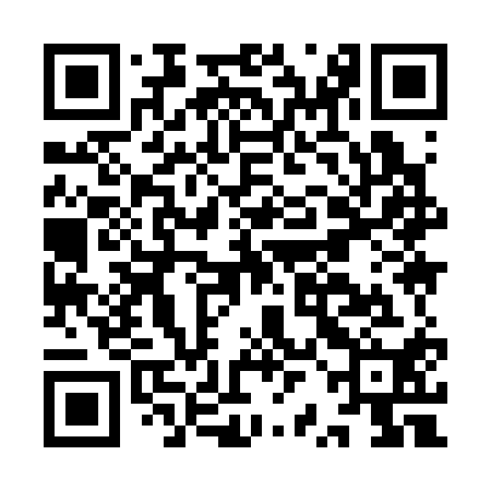 QR code for IRI310