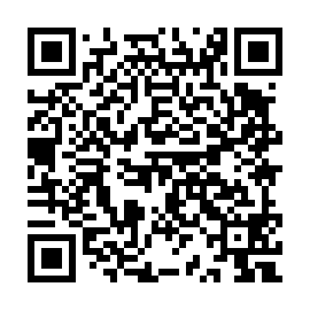 QR code for IRI498