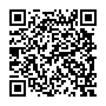 QR code for IRL095