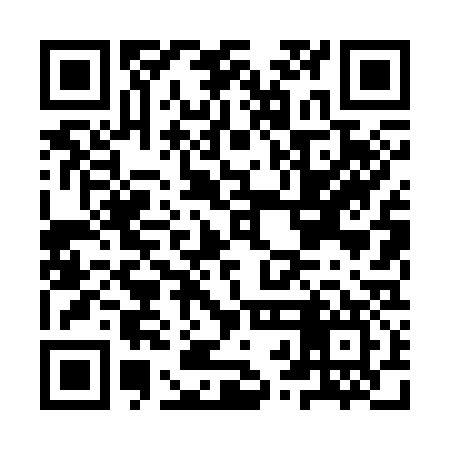 QR code for IRL337