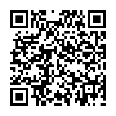 QR code for IRL338