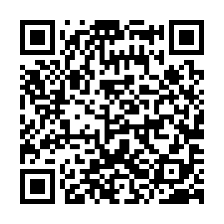 QR code for IRL398