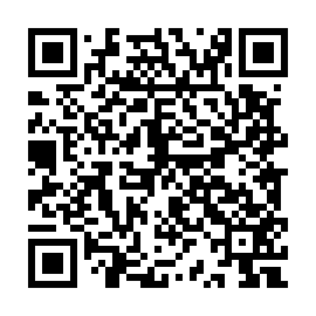 QR code for IRL553