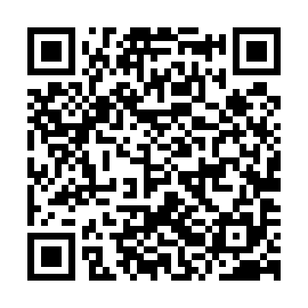 QR code for IRL595
