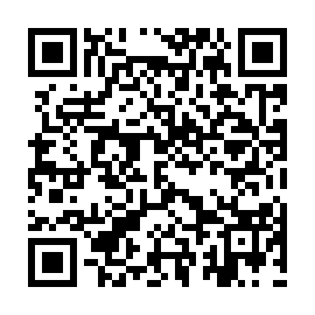 QR code for IRL913