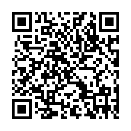 QR code for IRL971