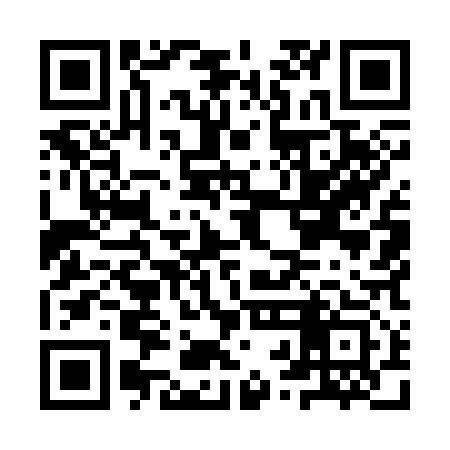 QR code for IRM313