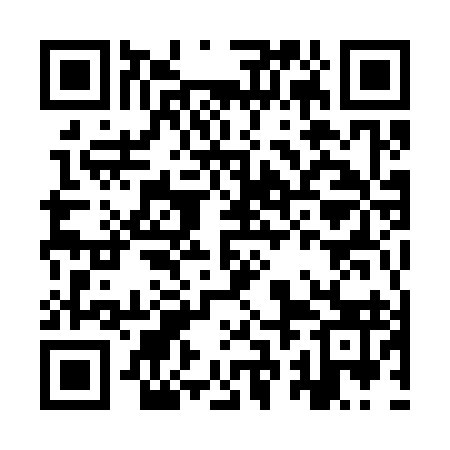 QR code for IRM393