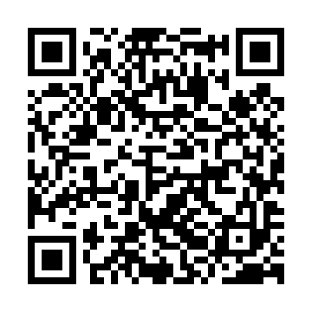 QR code for IRM493
