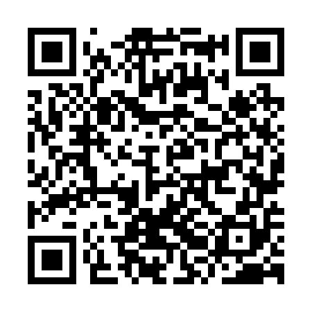 QR code for IRN250