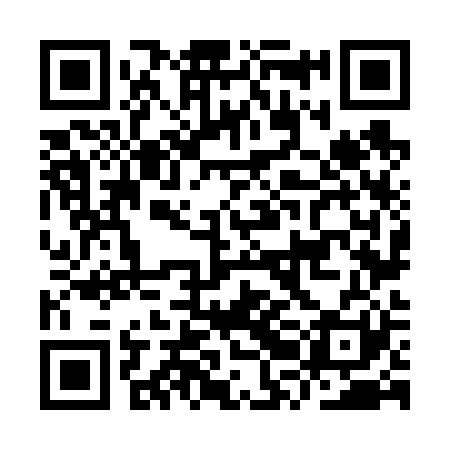 QR code for IRN621