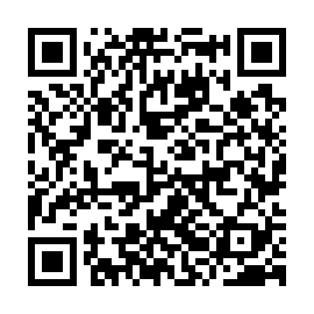 QR code for IRN729
