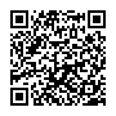 QR code for IRO335