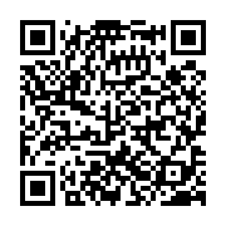 QR code for IRO599