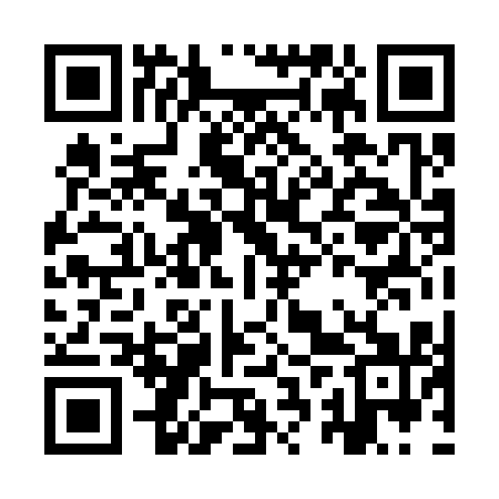 QR code for IRP311
