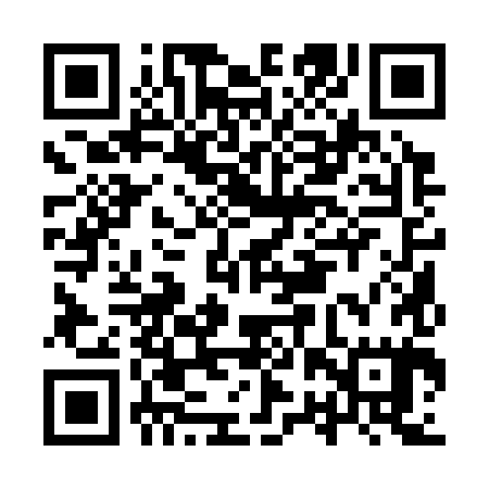 QR code for IRQ385