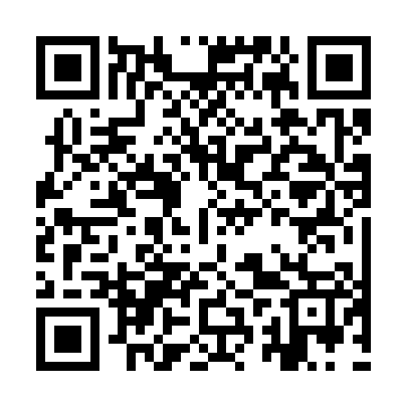 QR code for IRR307