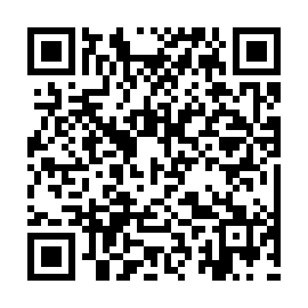 QR code for IRR381