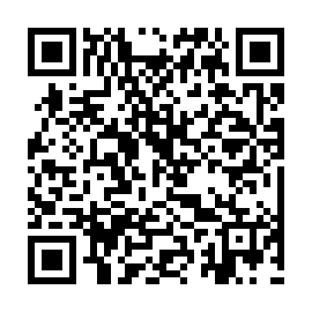 QR code for IRR385