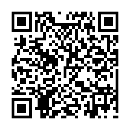 QR code for IRR393
