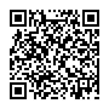 QR code for IRS385