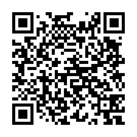 QR code for IRS438