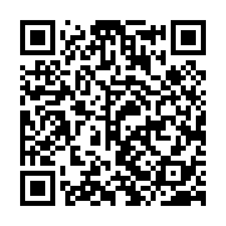 QR code for IRT038