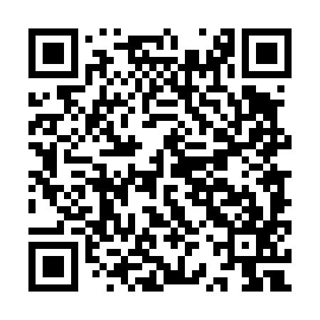 QR code for IRT497