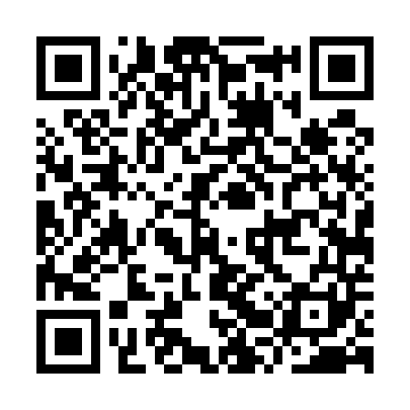 QR code for IRT541