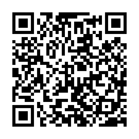 QR code for IRX499