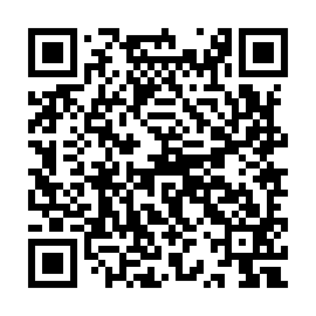 QR code for IRZ993
