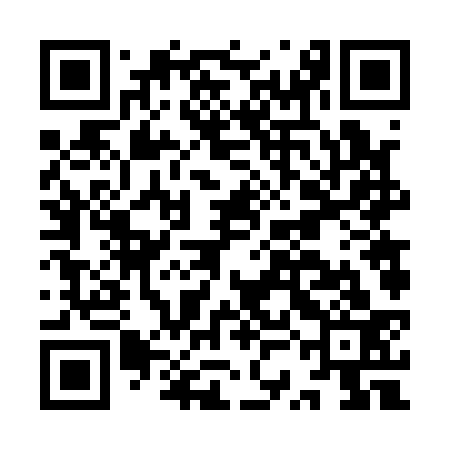 QR code for ISF133