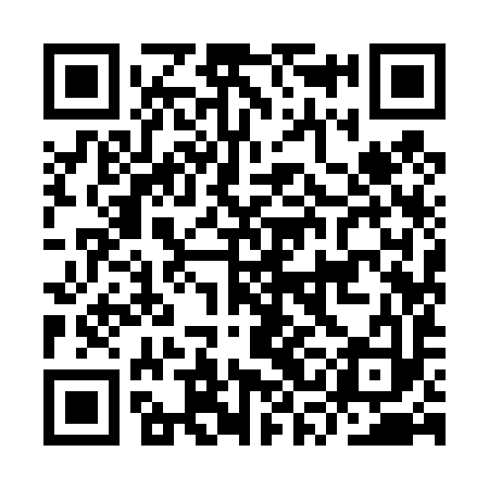 QR code for ISI493