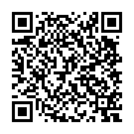 QR code for ISJ411