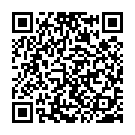 QR code for ISM599
