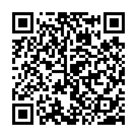 QR code for ISM638