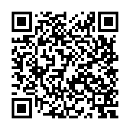 QR code for ISO953