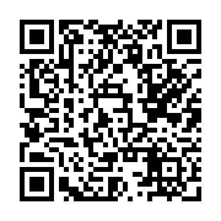 QR code for ISR161